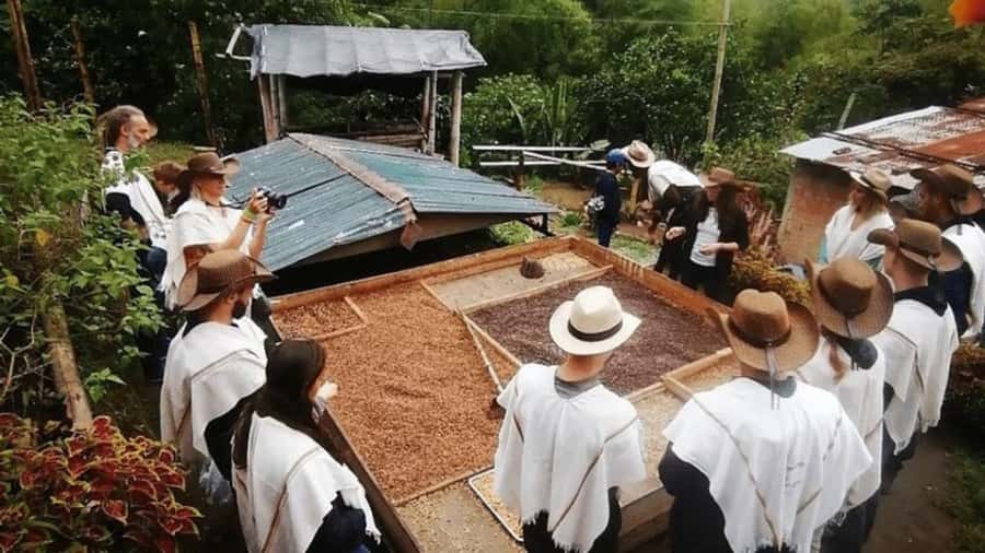 Salento and Cócora Tour + Coffee Farm from Pereira/Armenia - Starting in Salento’s cobbled streets
