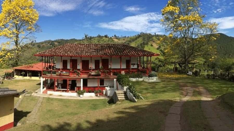 Salento and Cócora Tour + Coffee Farm from Pereira/Armenia - Seeing coffee as work, craft, and tradition