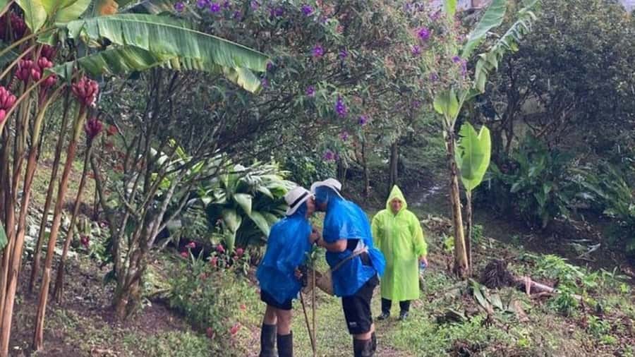 Salento and Cócora Tour + Coffee Farm from Pereira/Armenia - Who will get the most from this tour?