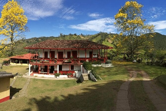 Salento and Cócora Tour plus Coffee Farm from Pereira or Armenia - The one-hour stroll through Salento