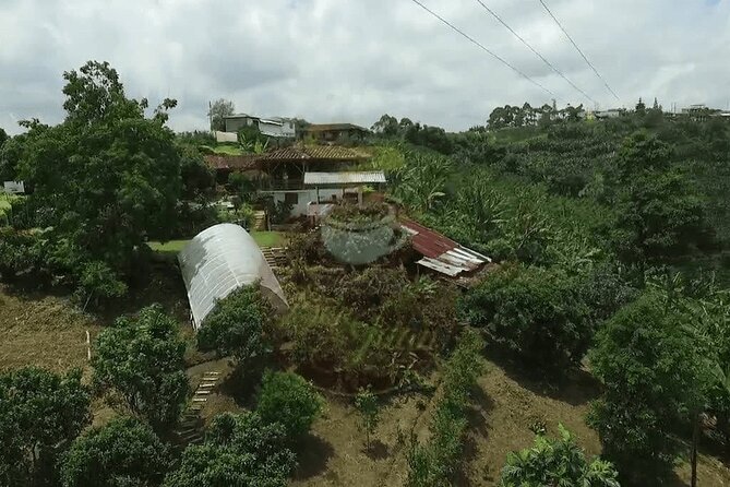 Salento and Cócora Tour plus Coffee Farm from Pereira or Armenia - What happens at Finca Buenos Aires