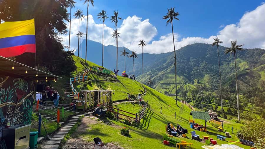 Salento, Cocora and Filandia Full Plan from Pereira/Armenia - Cocora Valley and its famous wax palms