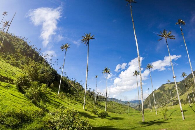 Salento, Cocora and Filandia Private Tour from Pereira or Armenia - Is $160 per person fair value?
