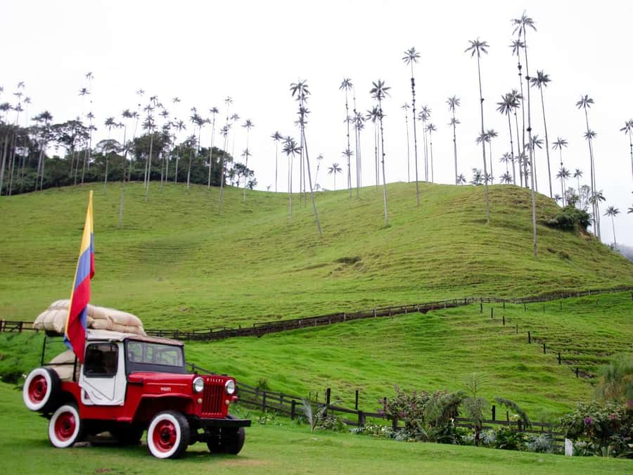 Salento, Cocora and Filandia Tour from Pereira or Armenia - Filandia adds a second view