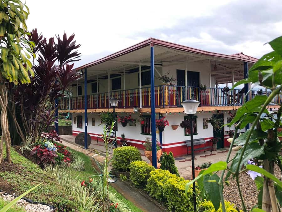 Salento: Coffee Farm Tour with Tasting - Picking cherries and planting a seedling