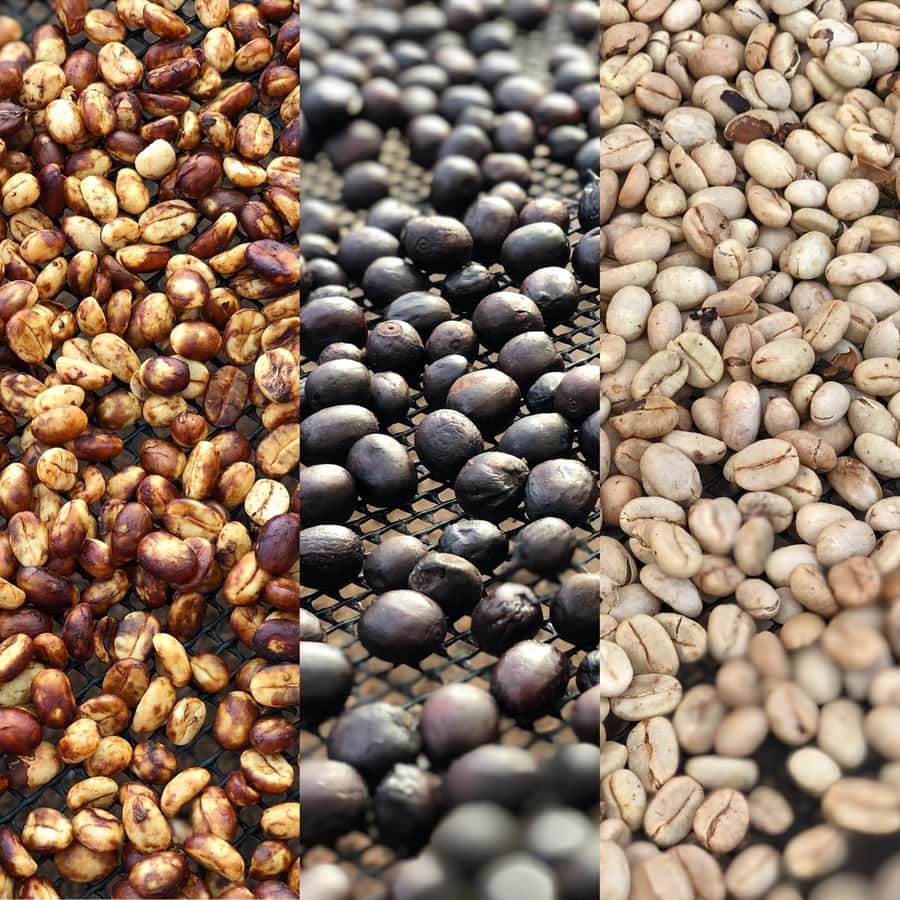 Salento: Coffee Farm Tour with Tasting - Who will enjoy this coffee tour most?