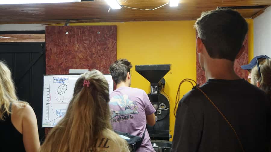 Salento: Coffee Master Roasting, Brewing and Tasting Tour - What happens during the two-hour coffee session