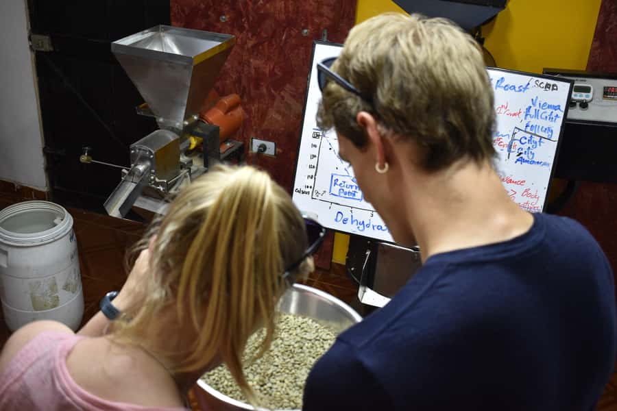 Salento: Coffee Master Roasting, Brewing and Tasting Tour - From full washed to natural processing