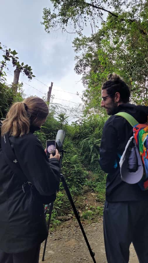 Salento: hike to learn about Birds - Starting at Brunch de Salento