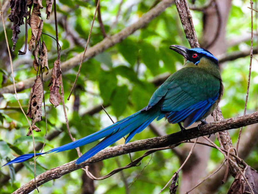 Salento: hike to learn about Birds - The practical value of included binoculars