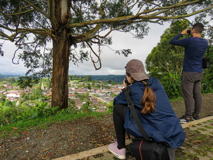 Salento: hike to learn about Birds - Should you book it?