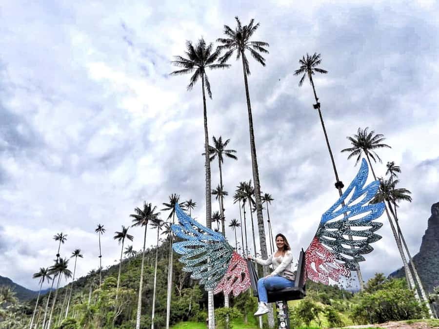 Salento/Pereira: Cocora Valley & Salento Hiking Private Tour - Why the Cocora palms are worth the hike