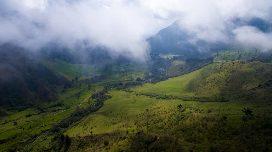 Salento/Pereira: Cocora Valley & Salento Hiking Private Tour - Miradors, mist, and photo time