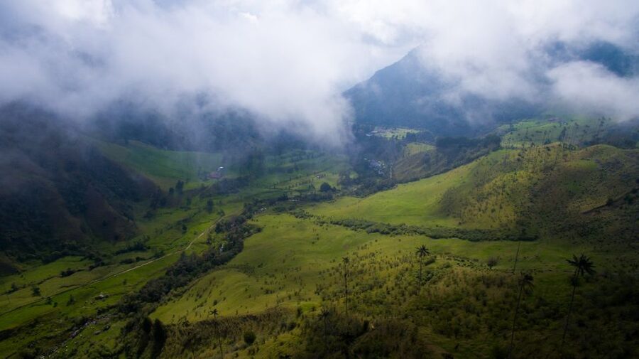Salento/Pereira: Cocora Valley & Salento Hiking Private Tour - Salento after the trail
