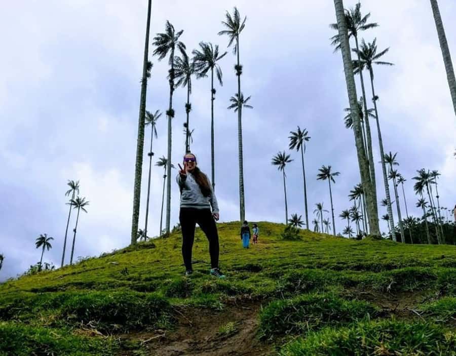 Salento/Pereira: Cocora Valley & Salento Hiking Private Tour - Entering the valley on foot