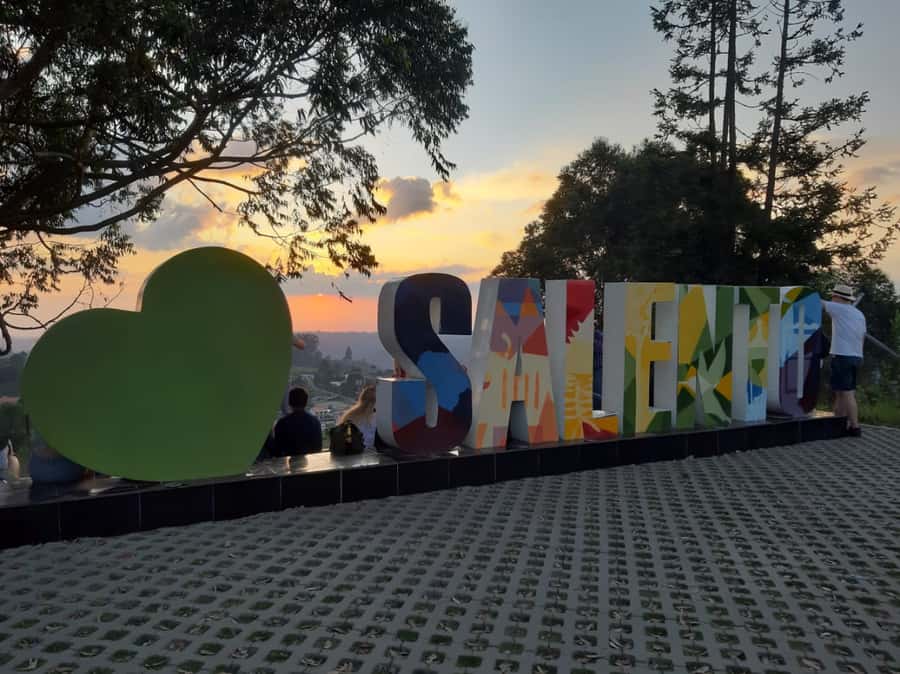 Salento: Private Cocora Valley, Salento & Coffee Farm Tour - Key points to know before booking