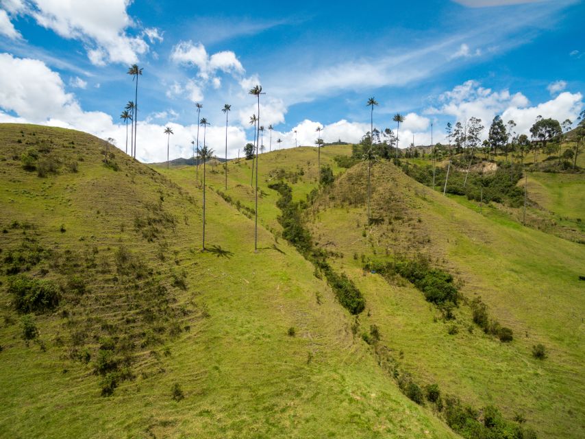 Salento: Private Cocora Valley, Salento & Coffee Farm Tour - Weather can change the order, not the experience