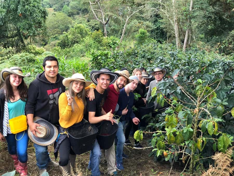 Salento: Private Cocora Valley, Salento & Coffee Farm Tour - Entering Cocora Valley before the crowds