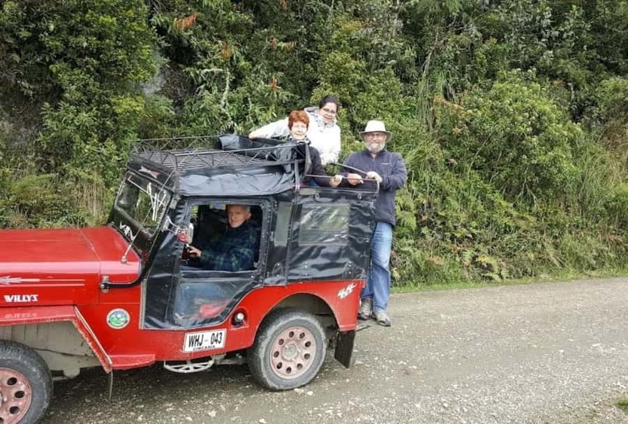 Salento: Salento & Cocora Valley Tour - Why Cocora Valley Deserves the Morning