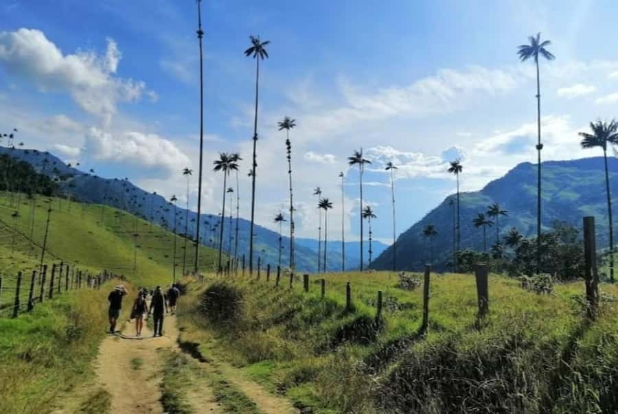 Salento: Salento & Cocora Valley Tour - A Jeep Ride With a Local Point of View