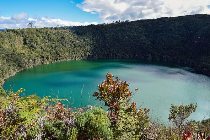 Salt Cathedral of Zipaquirá & Lake Guatavita: Private or Shared - Private or shared: which format suits you?