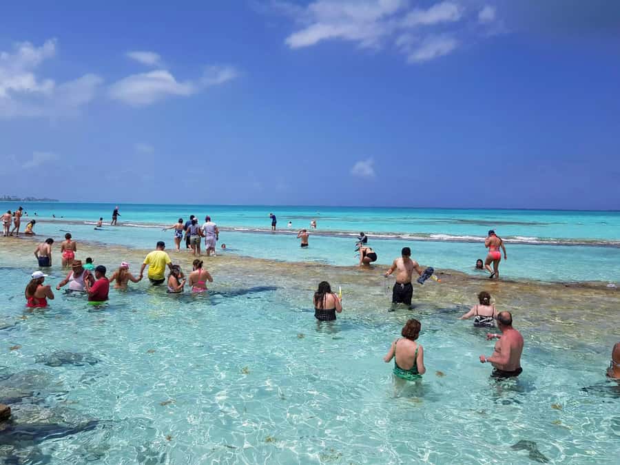 San Andres: Acuario Key Premium Tour - Manta rays without touching the animals