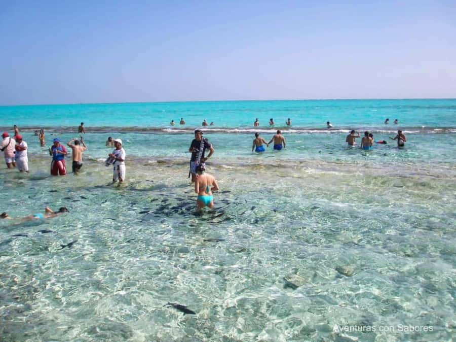 San Andres: Acuario Key Premium Tour - Who will enjoy this outing most
