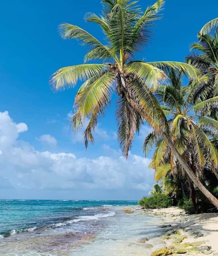 SAN ANDRES: BOAT TRANSFER + JOHNNY CAY - Key points to know before you book
