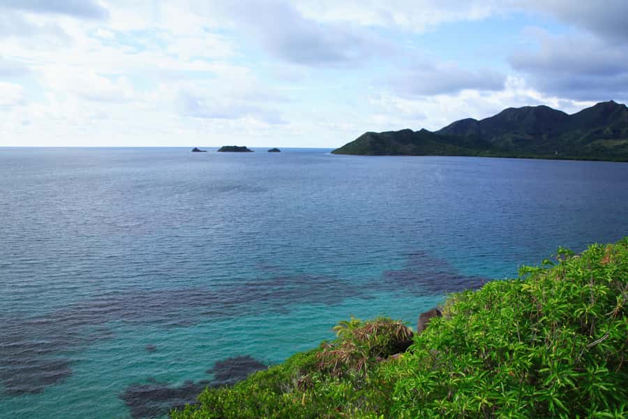 San Andrés: Guided Cays and Mangroves Tour - Rose Cay, a clear-water aquarium