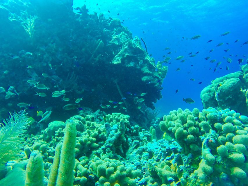 San Andrés: Guided Cays and Mangroves Tour - What the $30 price really covers