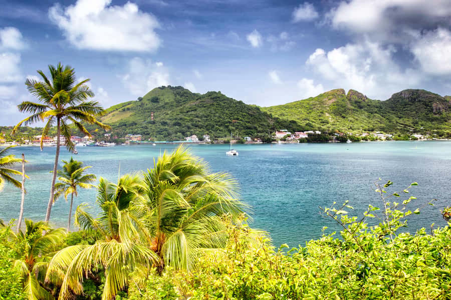 San Andrés: Guided Cays and Mangroves Tour - Johnny Cay and the seven colors of the sea