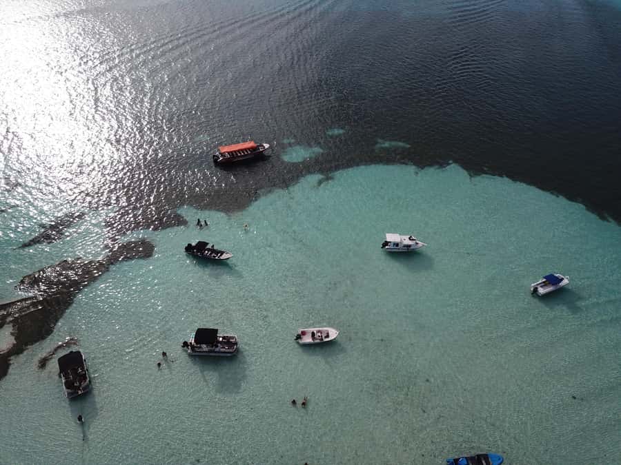 San Andrés: Island Pontoon Boat Tour - What the $45 price covers