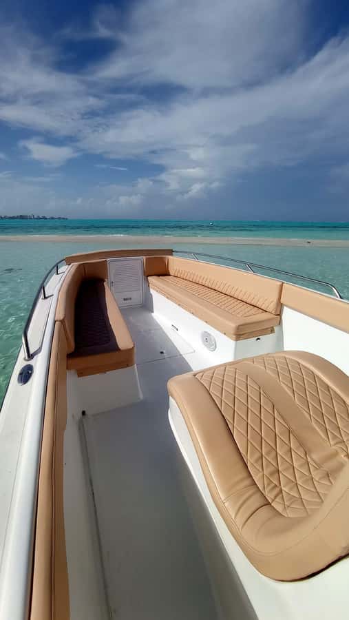 San Andres: Private San Andres Bay Tour by Luxury Speedboat - El Palito for shallow-water marine life