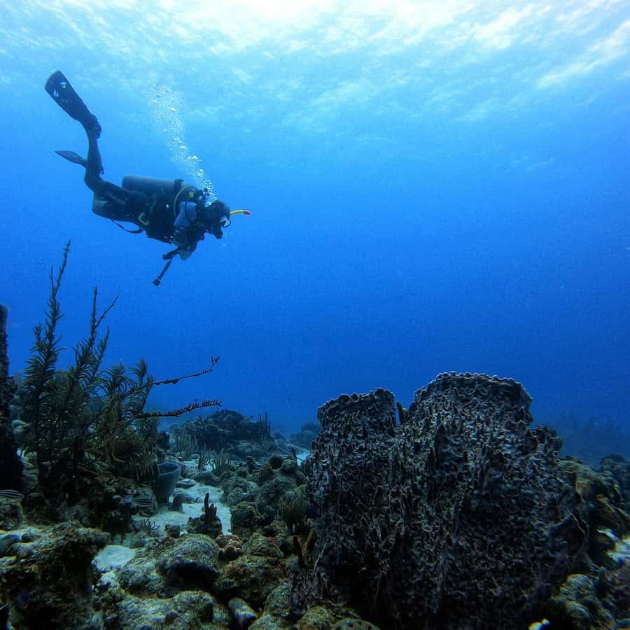 San Andres: Scuba Diving Experience with Hotel Pickup - Key points to know before booking