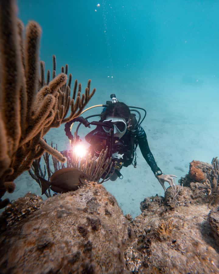 San Andres: Scuba Diving Experience with Hotel Pickup - Booking, cancellation, and useful timing advice