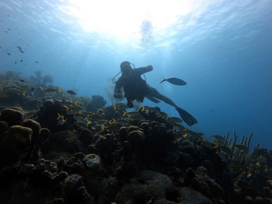 San Andres: Scuba Diving Experience with Hotel Pickup - What the three-hour San Andrés outing actually involves