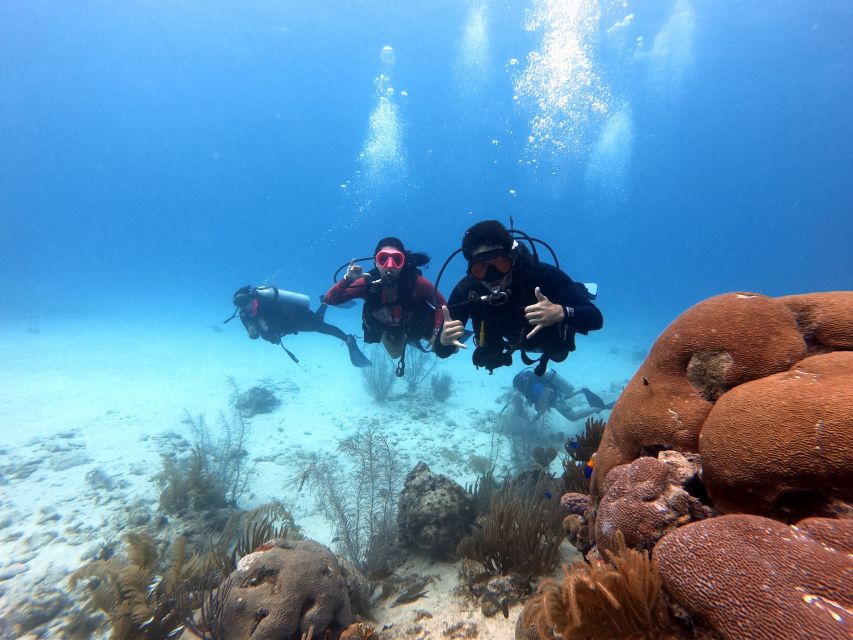 San Andres: Scuba Diving Experience with Hotel Pickup - Equipment, clothing, and what the $50 covers