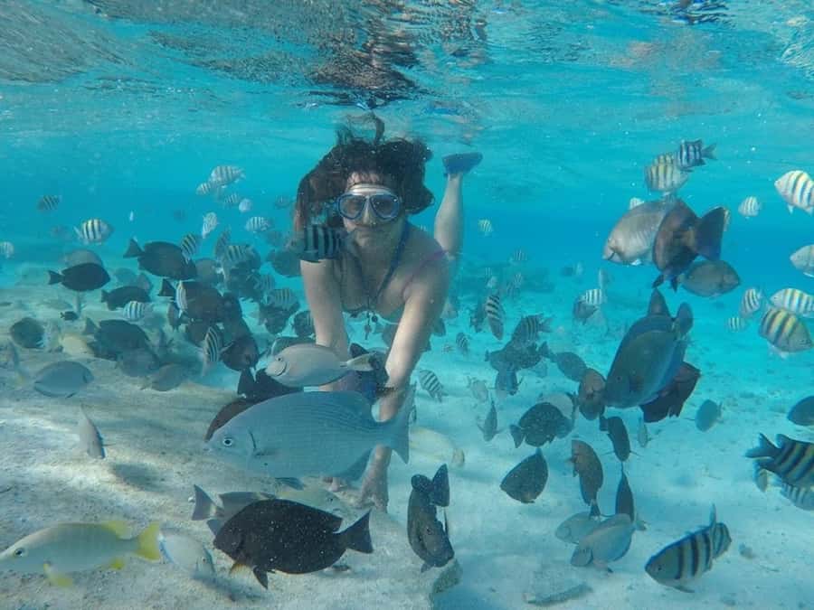 San Andres: Transfer by Boat + Natural Aquarium - What the Natural Aquarium is really like