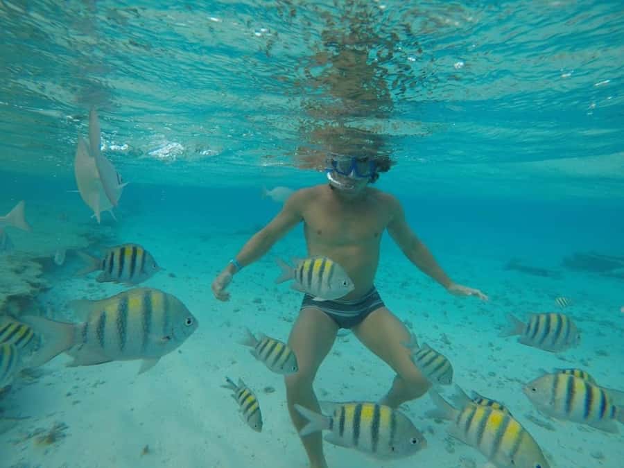 San Andres: Transfer by Boat + Natural Aquarium - What to pack for the six-hour outing