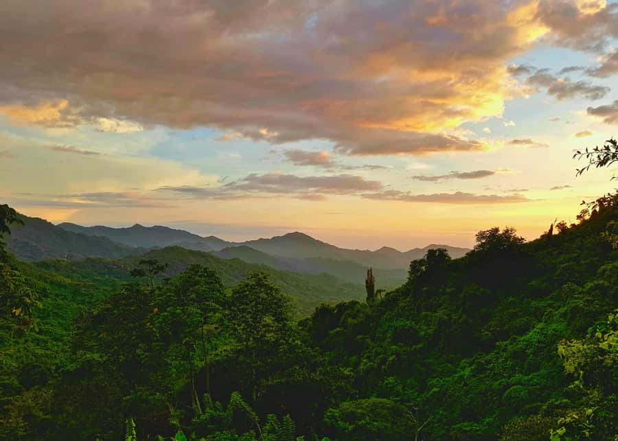 Santa Marta: Minca Coffee, Cocoa, & Waterfall Full-Day Trip - What the $78 price really covers