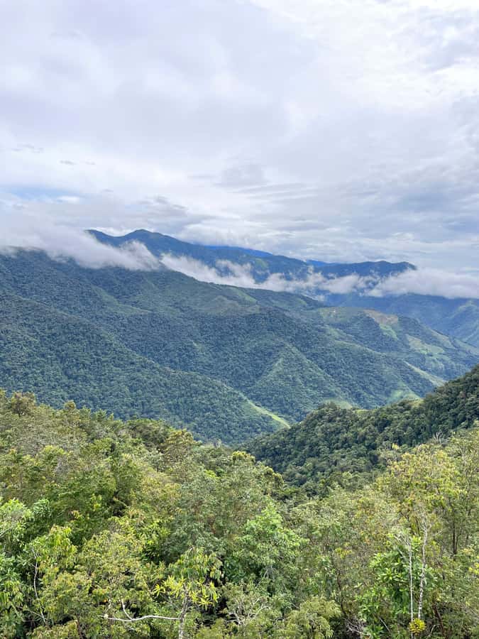 Santa Marta: Minca Coffee, Cocoa, & Waterfall Full-Day Trip - The pace, the guide, and the group