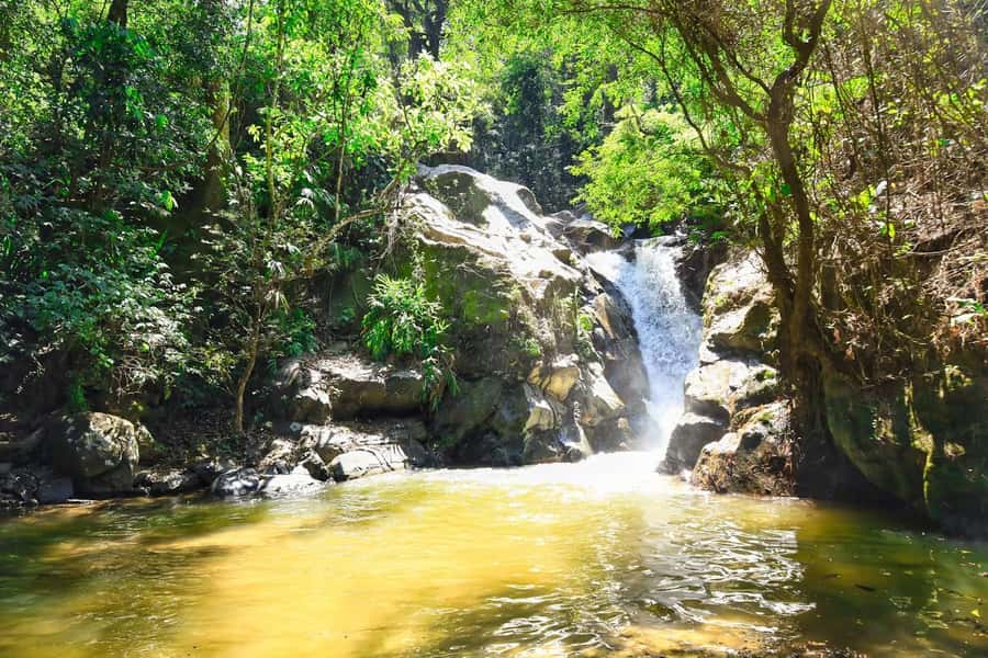 Santa Marta: Minca Coffee, Cocoa, & Waterfall Full-Day Trip - Who should book this Minca day trip