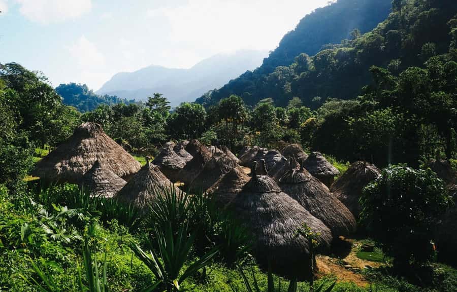 Santa Marta: Multi-Day Trek to The Lost City - Day three: Mutanyi and the approach to the archaeological site