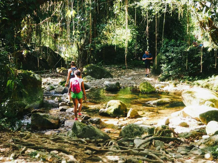 Santa Marta: Multi-Day Trek to The Lost City - What sleeping and eating are really like