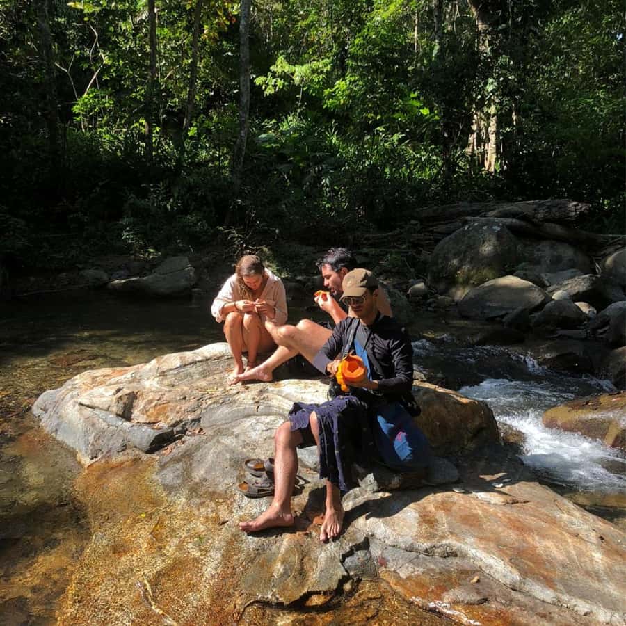 Santa Marta: Trekking in Minca Complete Waterfall Circuit - Farm stories, indigenous plants, and the human side of the forest