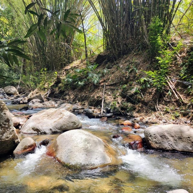 Santa Marta: Trekking in Minca Complete Waterfall Circuit - The good and the less convenient parts