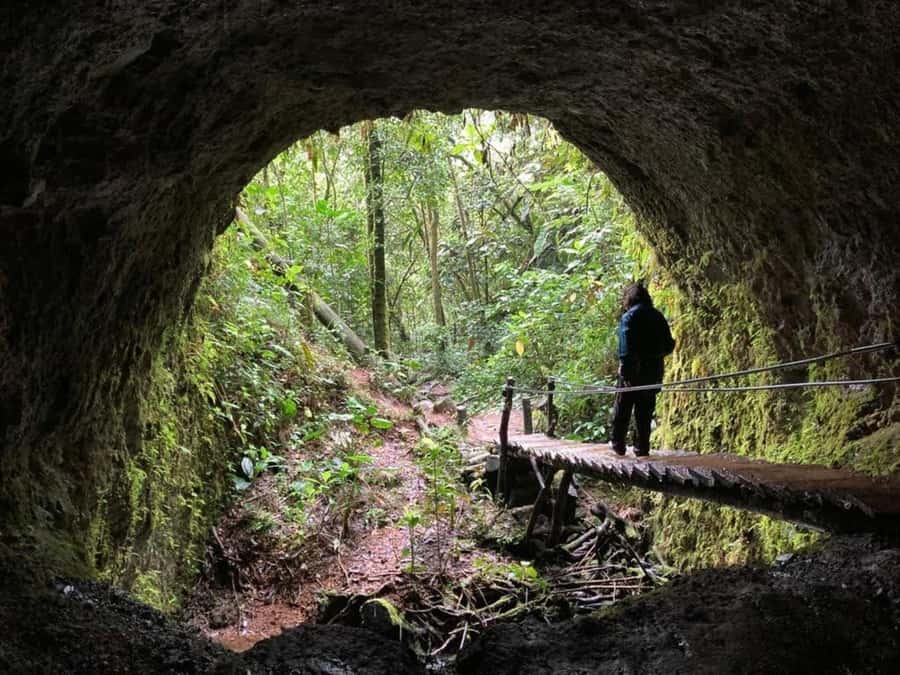 Santa Rita Waterfall and Salento Private Tour - Why this half-day outing works