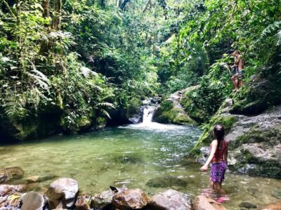 Santa Rita Waterfall and Salento Private Tour