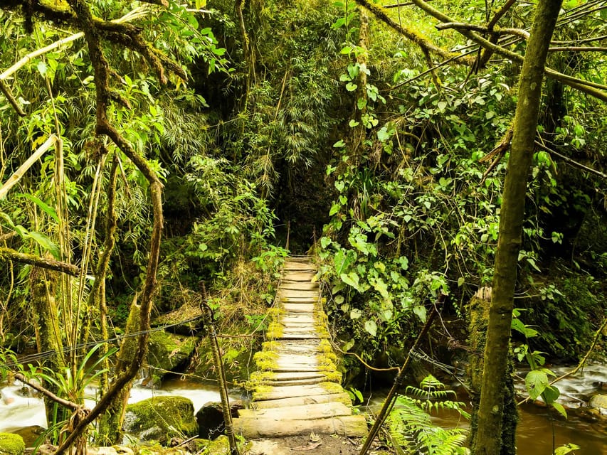 Santa Rita Waterfall and Salento Private Tour - Climbing to Alto de la Cruz