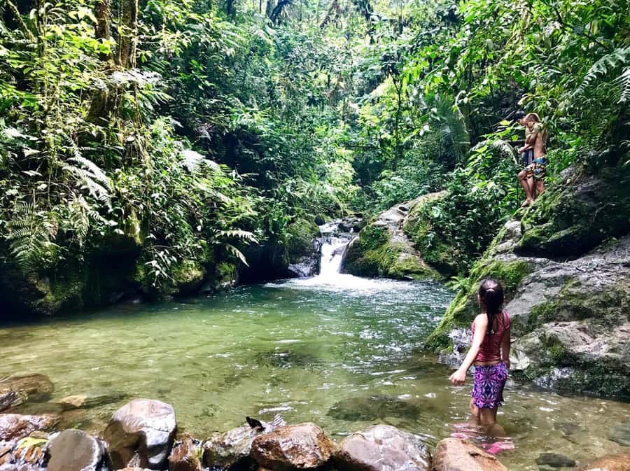 Santa Rita Waterfall and Salento Private Tour - Walking to Santa Rita through forest and tunnels